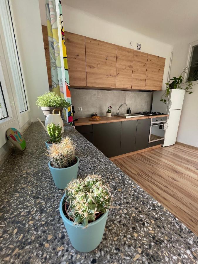 Appartamento Old Town Nest Cracovia Esterno foto